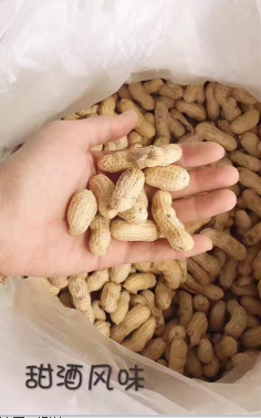 肇庆市高要区莲塘镇官塘嘉兴果子食品厂