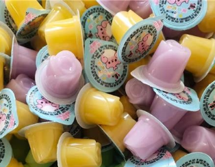 濮阳市送喜郎食品有限公司