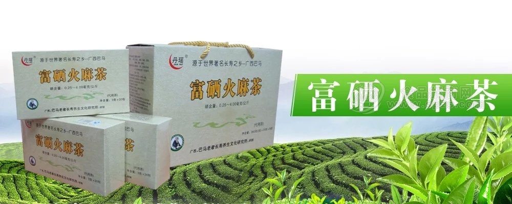 巴马老者长寿养生文化研究所