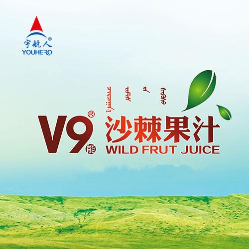 内蒙古宇航人高技术产业有限责任公司 