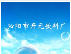 沁阳市开元饮料厂 