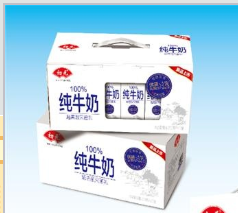 石家庄初元食品有限公司