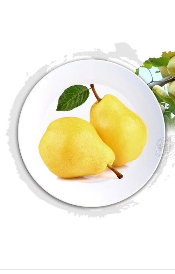 山东省启康元生物科技有限公司 