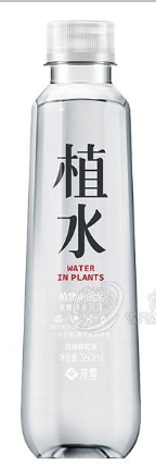 山东芳蕾国际贸易有限公司