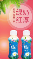 阜南椰枫食品有限公司