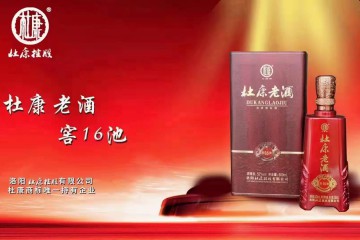  河南杜康老酒销售有限公司 