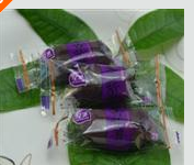 北京星派薯语食品有限公司