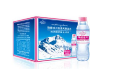 西藏珠峰冰川水资源开发有限公司