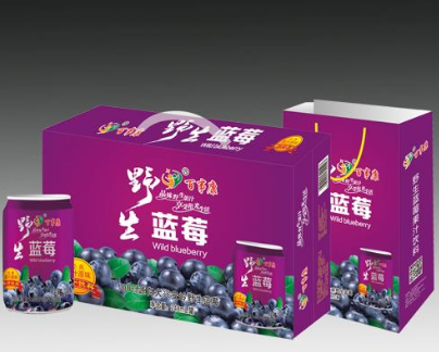 河北百事康饮料有限公司