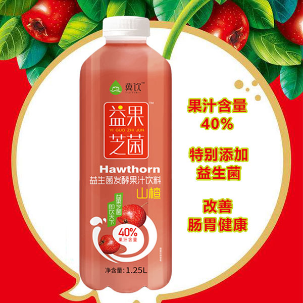 河北冀饮食品科技有限公司