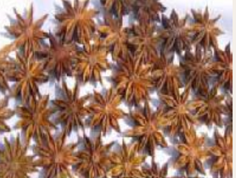 多味滋集团（香港）食品有限公司