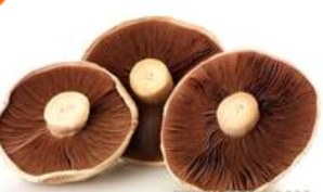 北京宏久永业商贸有限公司