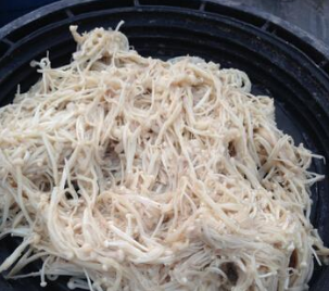 河北常山菌业有限公司