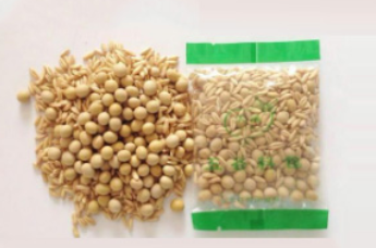 辽宁旺和豆制品有限公司