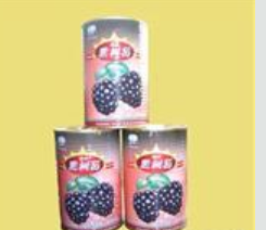 丹东日食食品有限公司