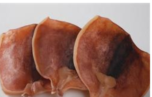 丹东元一海产精制品有限公司