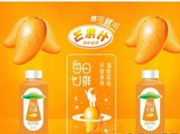 吉林冰泉食品股份有限公司