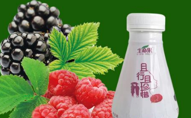 上海生命果树莓产业有限公司