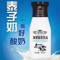 泰子奶发酵酸奶饮品300ml
