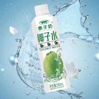 泰子奶椰子水500ml