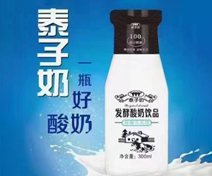  广东泰子奶饮料有限公司