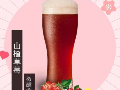 精酿鲜啤果啤招商加盟 啤小刀图2